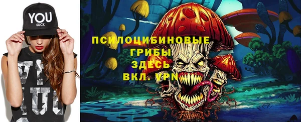 МДПВ Краснотурьинск