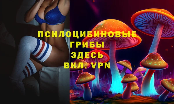 МДПВ Краснотурьинск