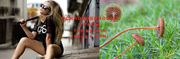 МДПВ Краснотурьинск
